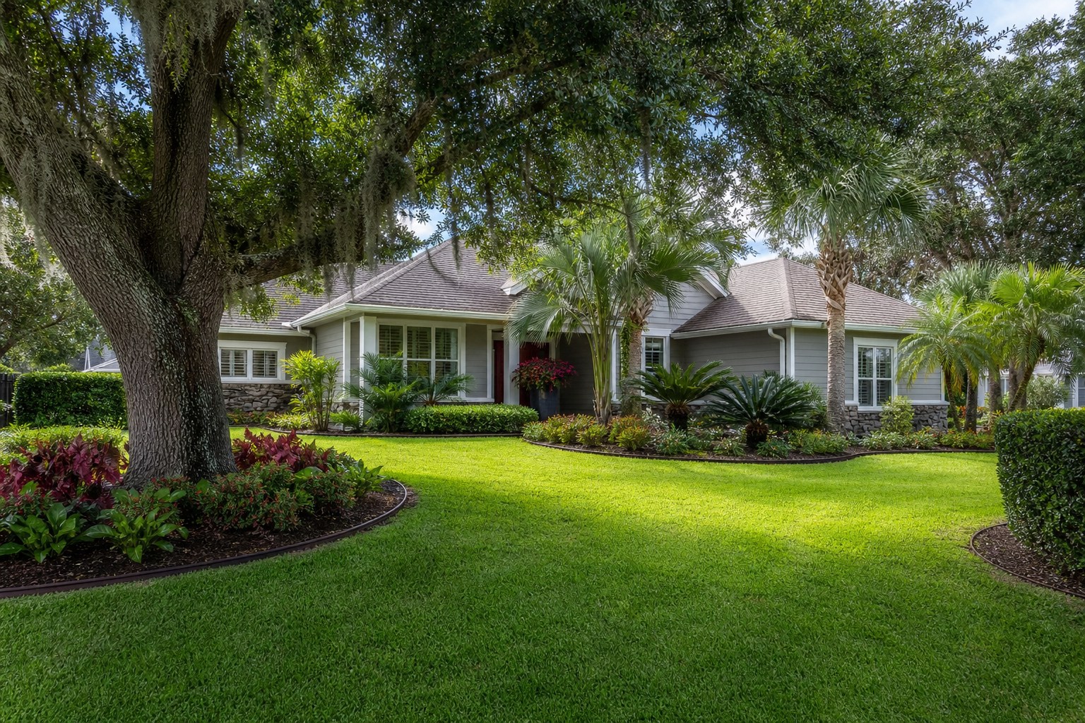 Coastal Florida front-yard landscaping with sabal palms and live oak in Jacksonville, Florida