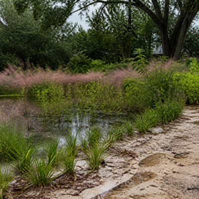 Jacksonville Pro Landscape Editorial Team, founder of Jacksonville Pro Landscape